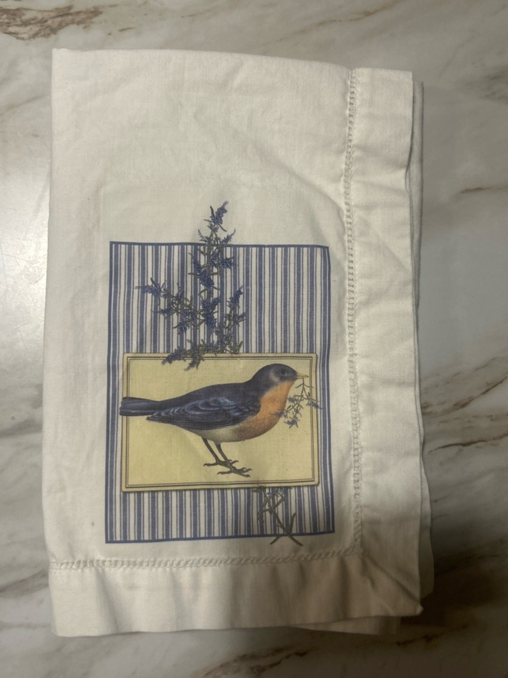 Vintage 4 Mary Lake-Thompson casual cotton napkins blue bird ticking edition
